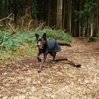 Pláštěnka Mountain Paws pro psa střední velikosti